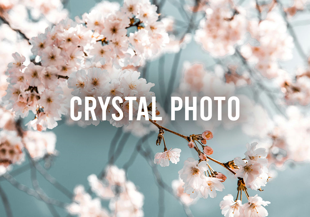 Crystal Photo 260