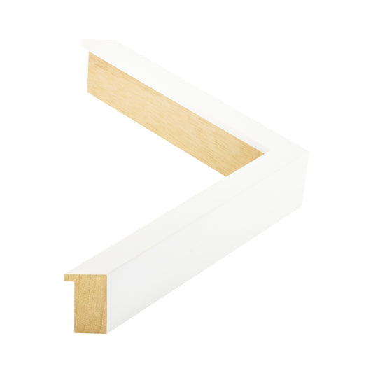109009 moulding