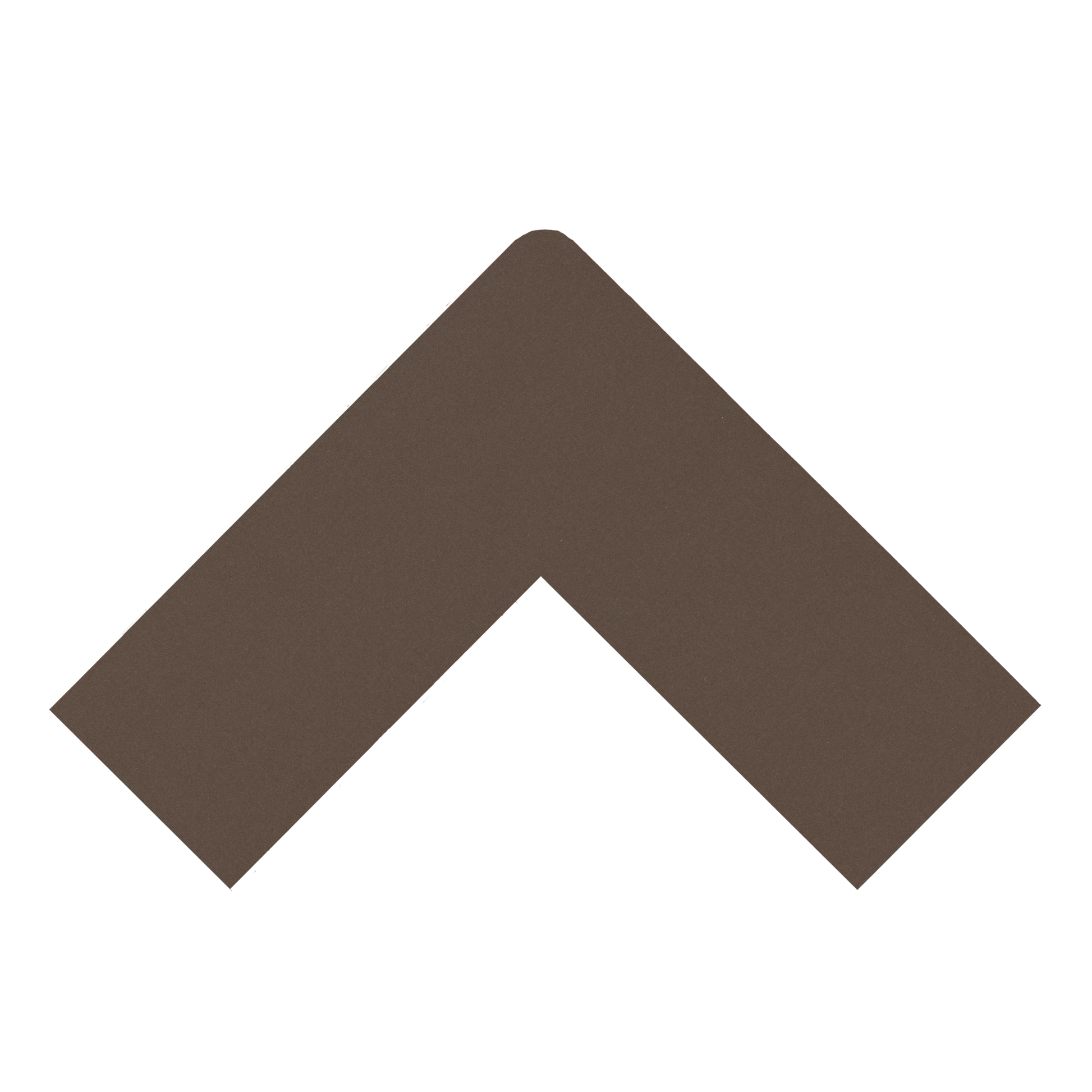 Beaver Brown - 40x60