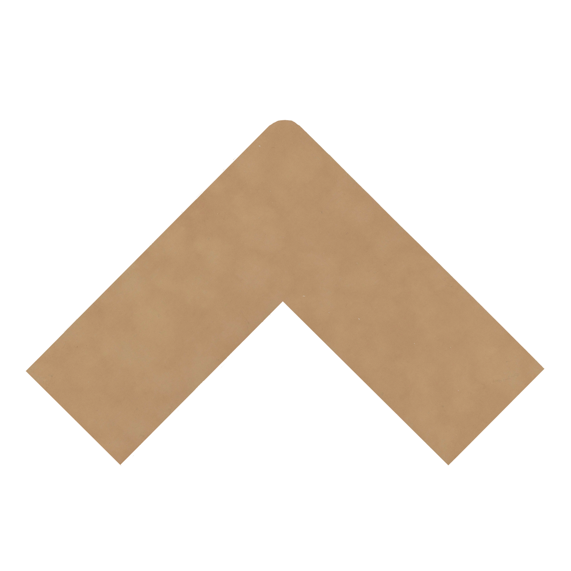 Buckskin - 40x60