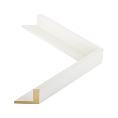 106009 moulding