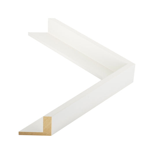 106009 moulding