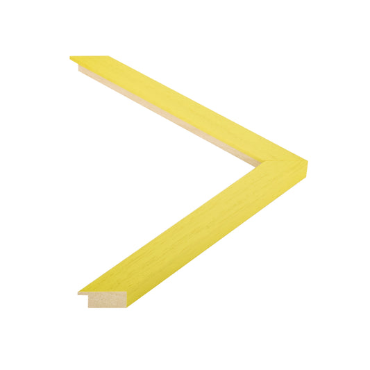 136555 moulding