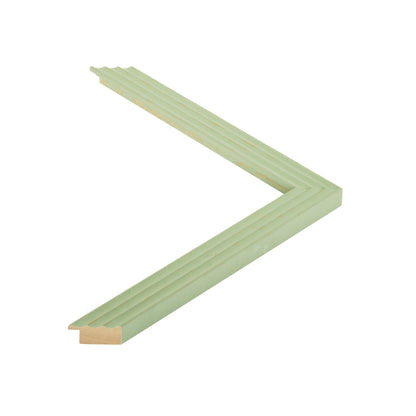 402512 moulding