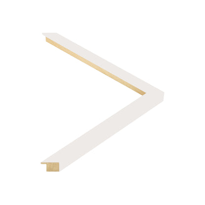 134009 moulding