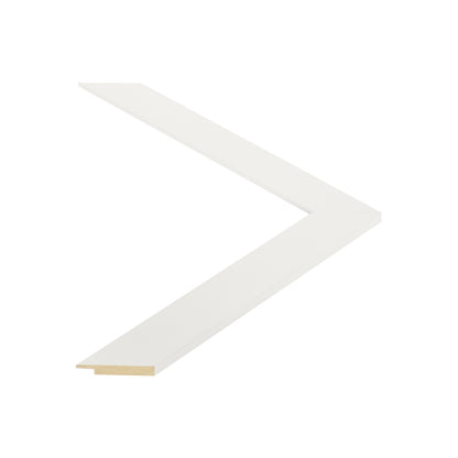 143102 moulding