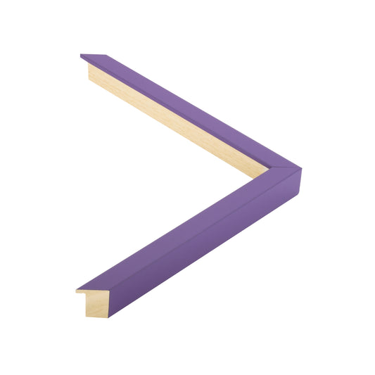107004 moulding