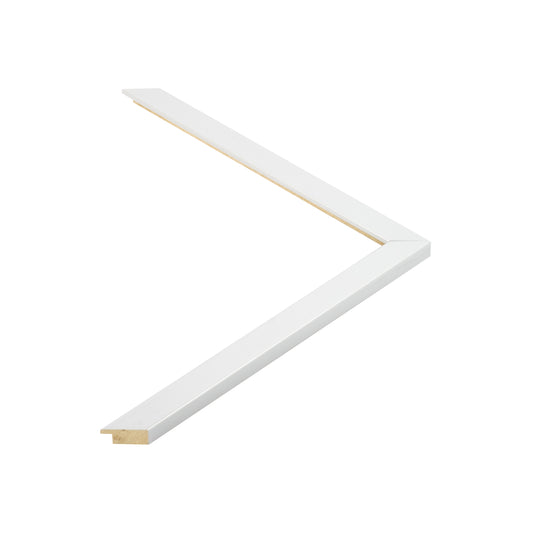 148028 moulding