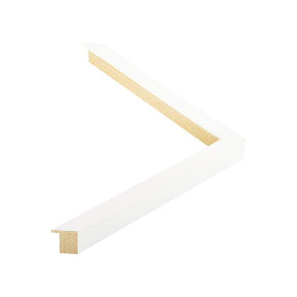107009 moulding