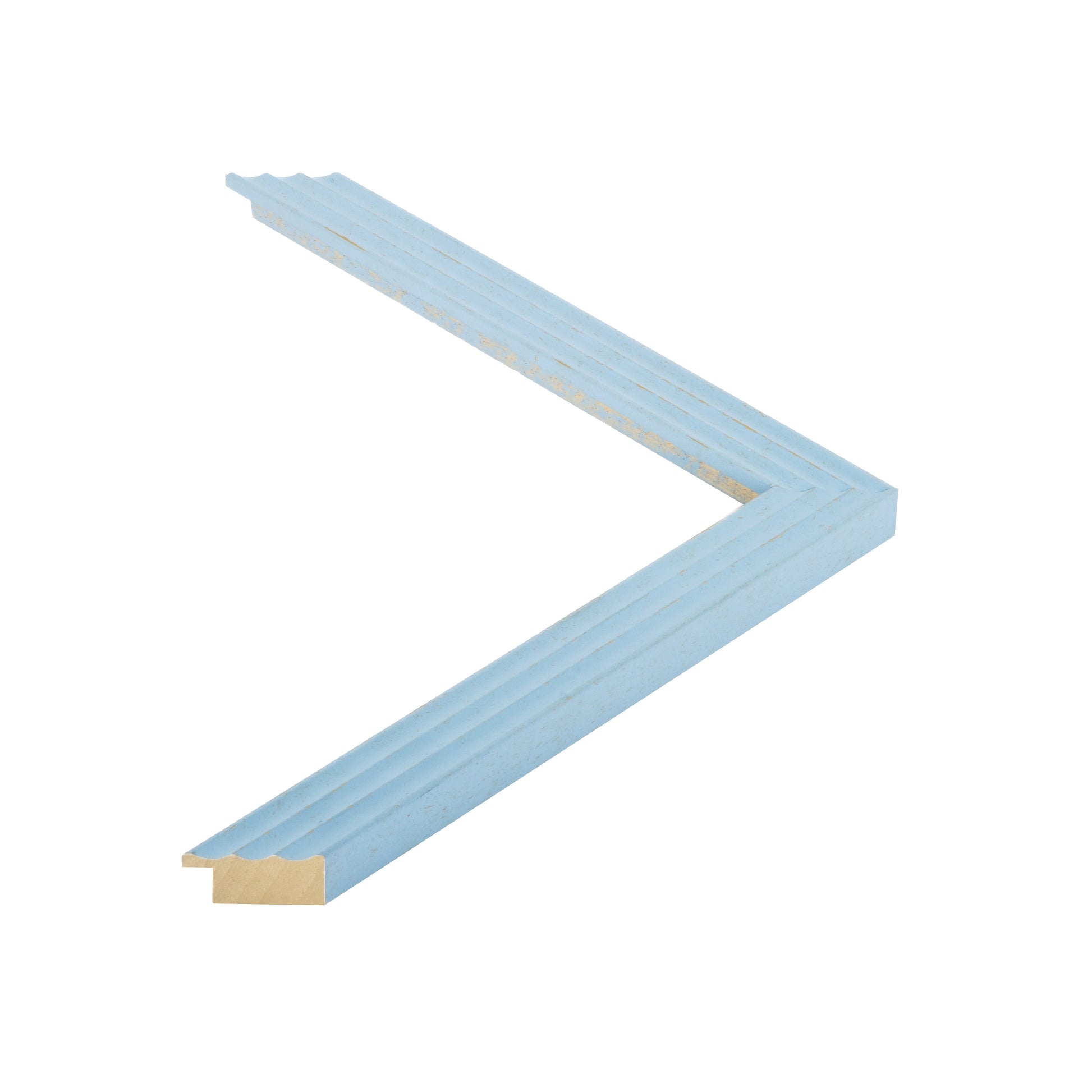 402516 moulding