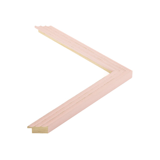 402504 moulding