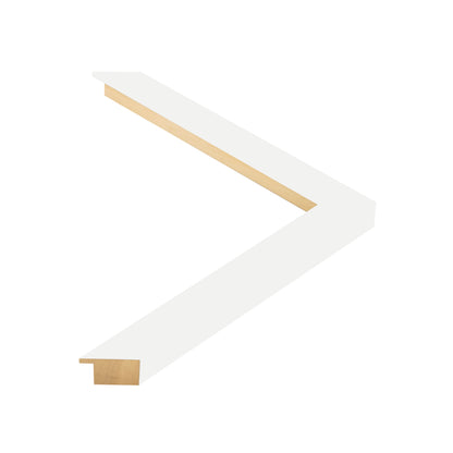 330009 moulding