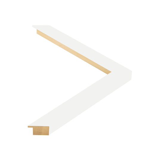 330009 moulding