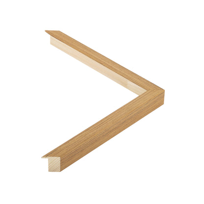 107008 moulding
