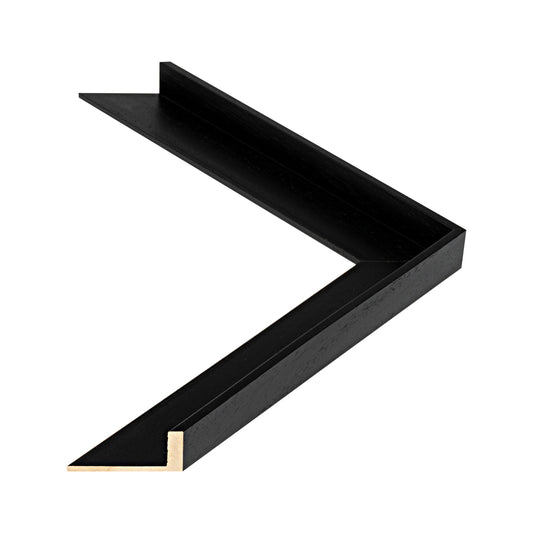 202001S moulding