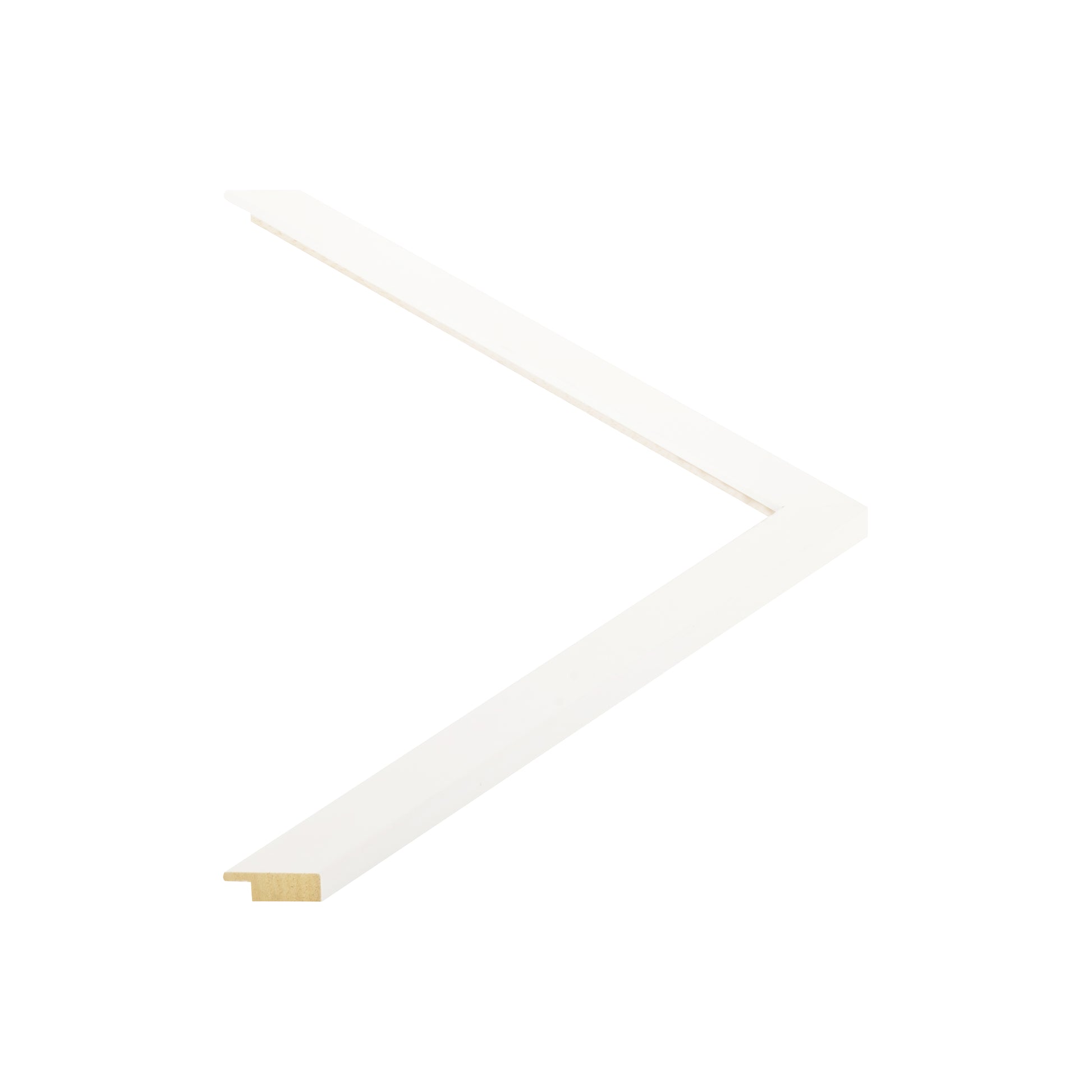 148009 moulding