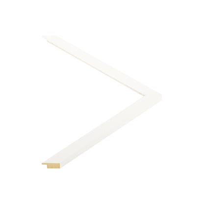 148009 moulding