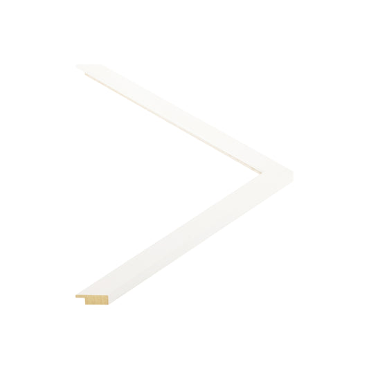 148009 moulding