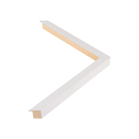 107001 moulding