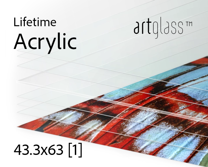 LifeTime Acrylic 63x43.3 3mm (1 sheet) 19 sq.ft.