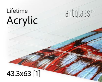 LifeTime Acrylic 63x43.3 3mm (1 sheet) 19 sq.ft.