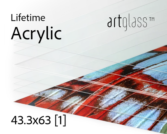 LifeTime Acrylic 63x43.3 3mm (1 sheet) 19 sq.ft.