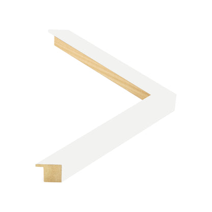 350009 moulding