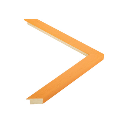 136554 moulding
