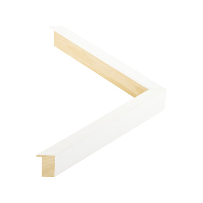 135009 moulding