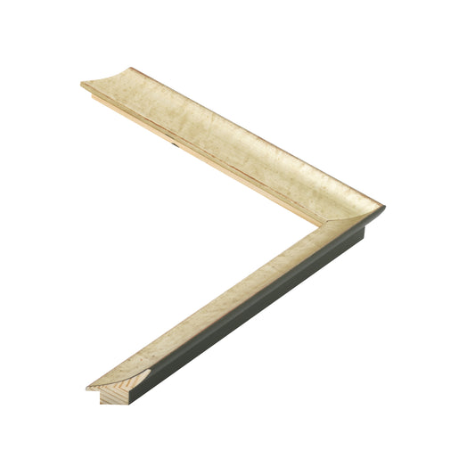 392044 moulding