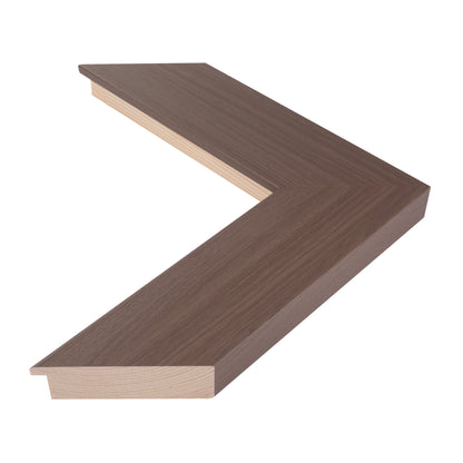 555068 moulding