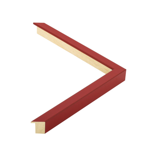 107076 moulding