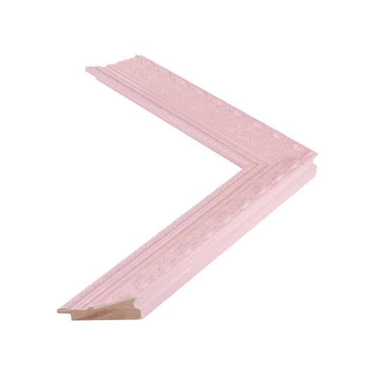 816913 moulding