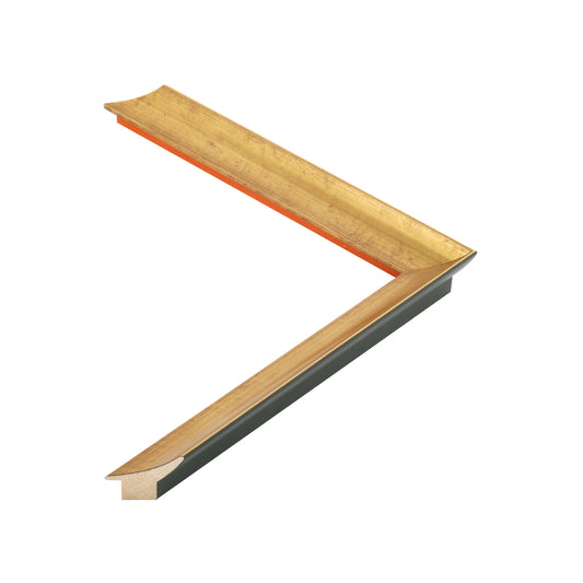 392043 moulding