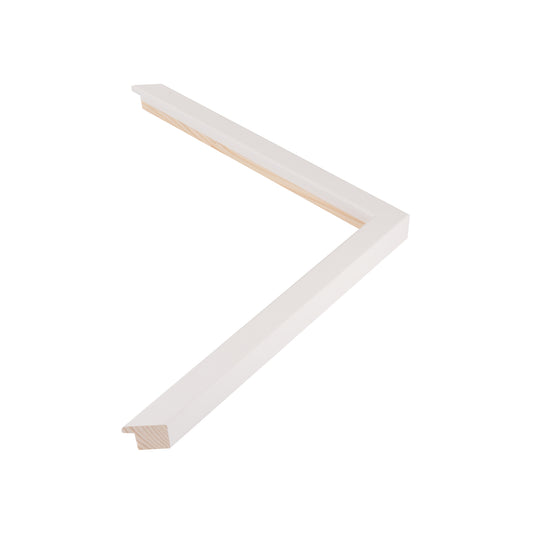 511009 moulding