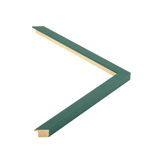 134227 moulding